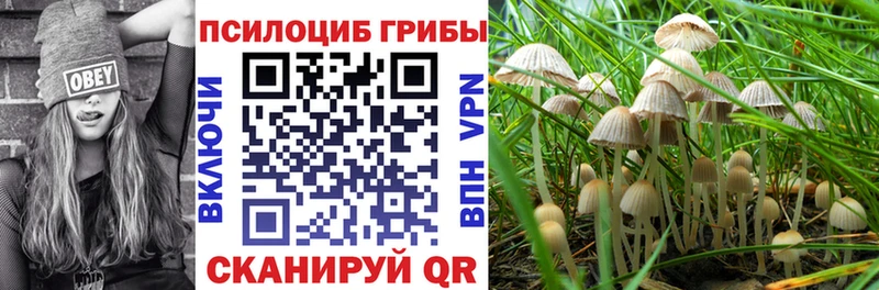 купить цена Артёмовск Галлюциногенные грибы GOLDEN TEACHER